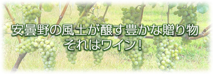 安曇野の風土が醸す豊かな贈り物…それはワイン！